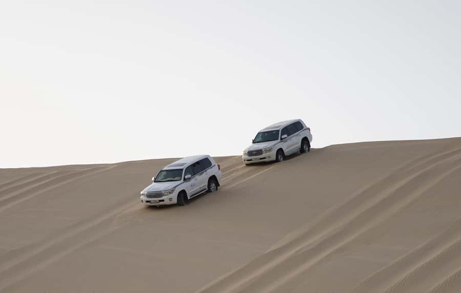 Doha: Safari, ATV, Camels, Sandboarding and Inland Sea Tour - Camel Riding: Authentic, Quick, and Worth Doing