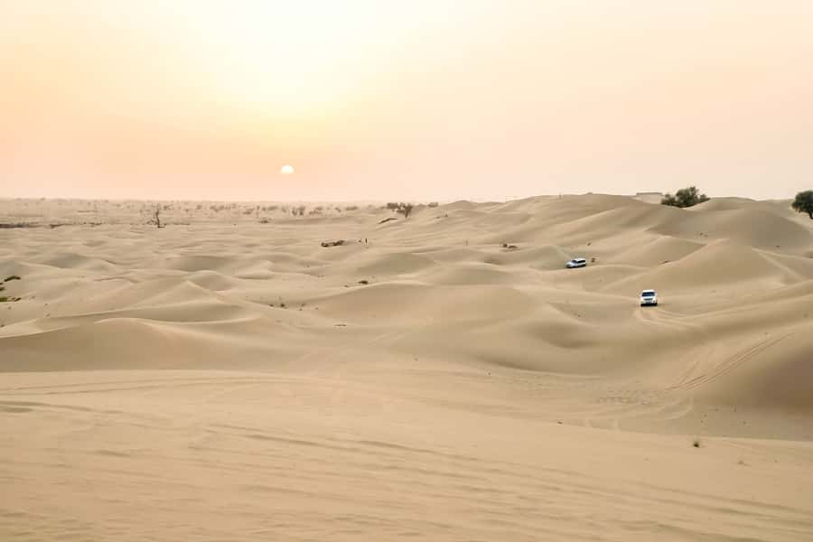 Doha: Safari, ATV, Camels, Sandboarding and Inland Sea Tour - Optional ATV/Quad Bike Rides and Extra Add-Ons