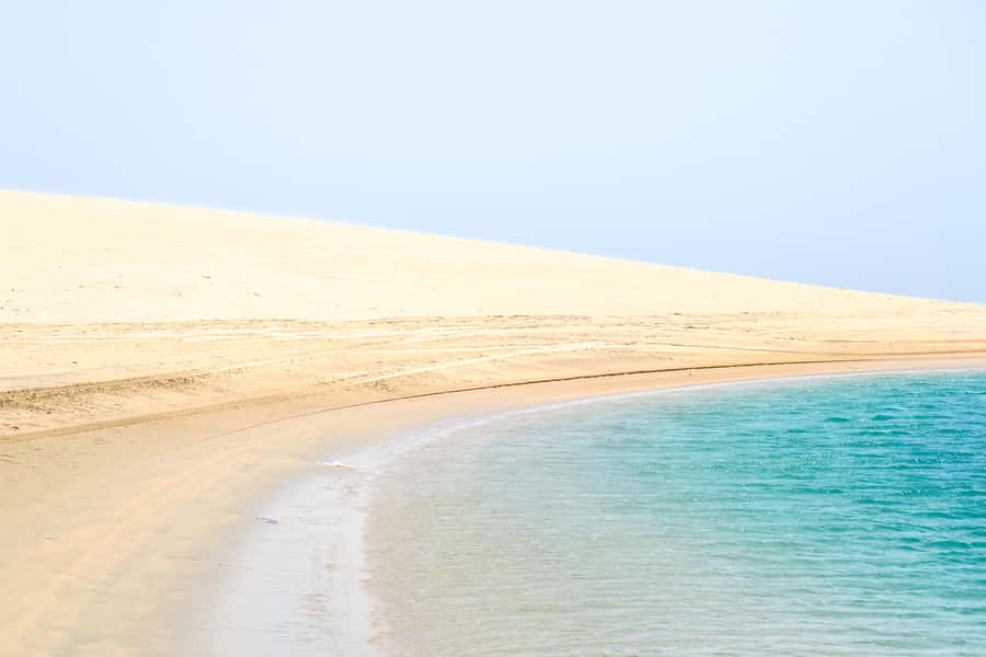 Doha: Safari, ATV, Camels, Sandboarding and Inland Sea Tour - Price and Value: Is $32 Worth a Desert Half-Day?