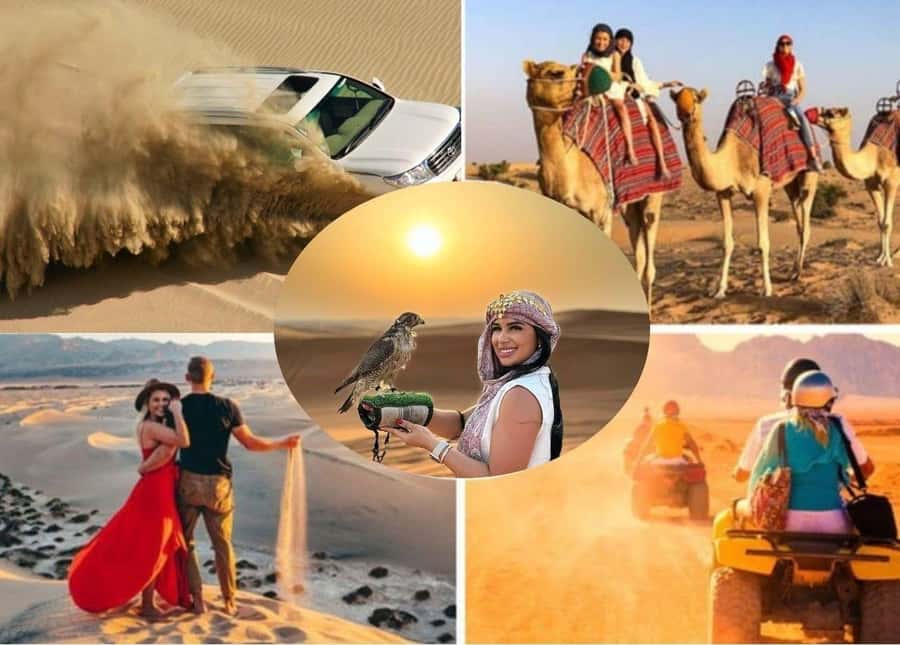 Doha: Safari, Camel Ride, Sandboarding and Inland Sea Tour - Sandboarding on Qatar Dunes: Included and Actually Fun