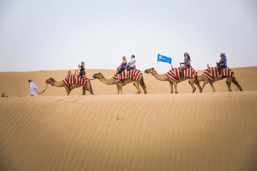 Dubai: Adventure Quad Bike Safari, Camel Ride & Refreshment - Camel ride and Bedouin-style refreshments: a slower, bigger-sky moment