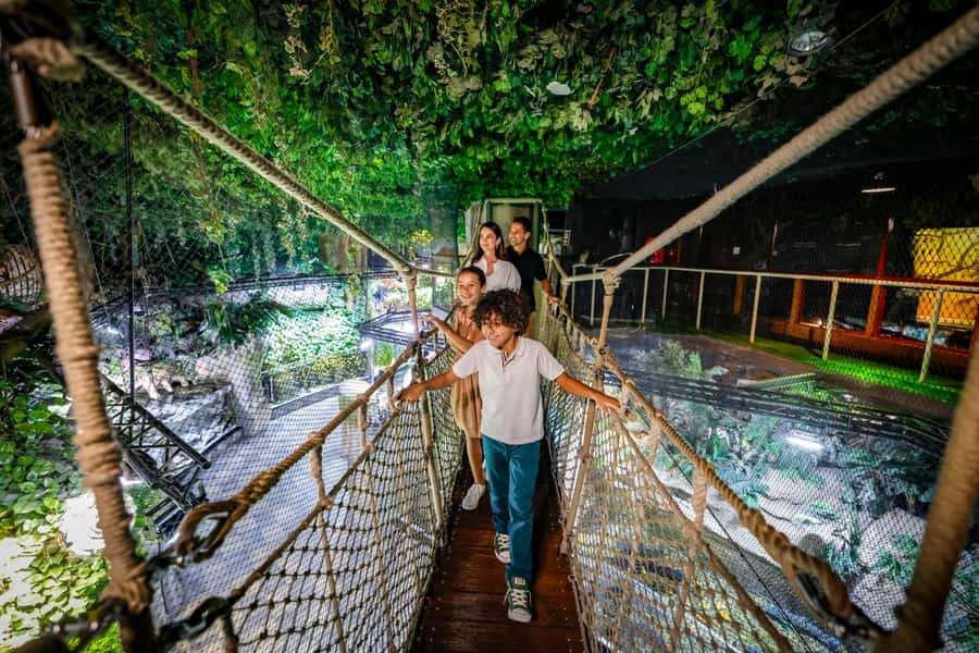 Dubai: Aquarium and Underwater Zoo Experience - Dubai Aquarium and Underwater Zoo: what the ticket actually delivers