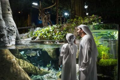 Dubai: Aquarium and Underwater Zoo Experience - Underwater Tunnel: your best photo spot and your best reality check