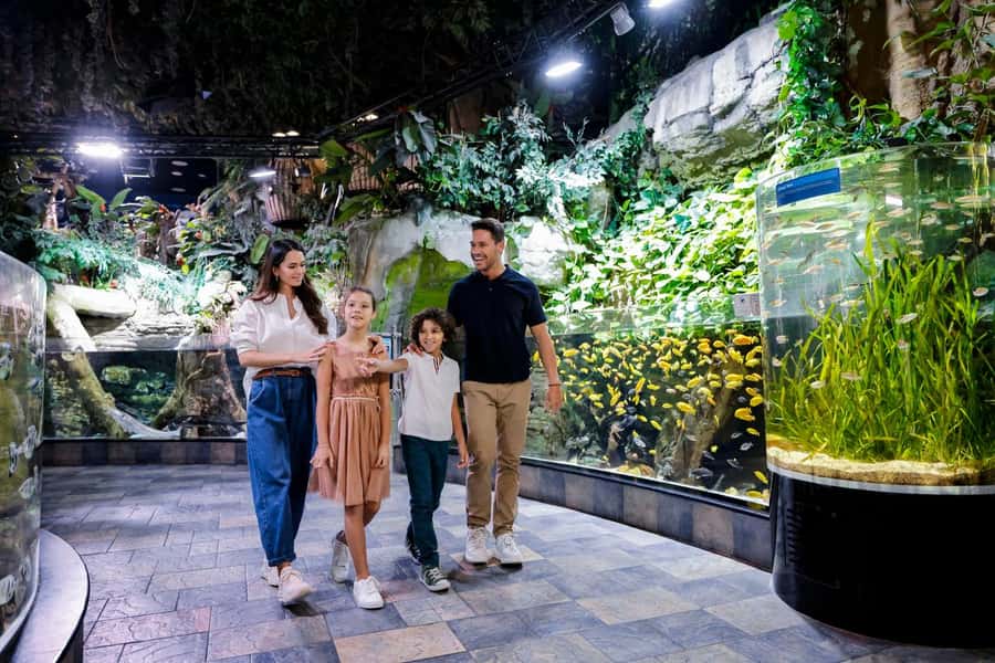 Dubai: Aquarium and Underwater Zoo Experience - Timing in Dubai: how to plan around opening hours