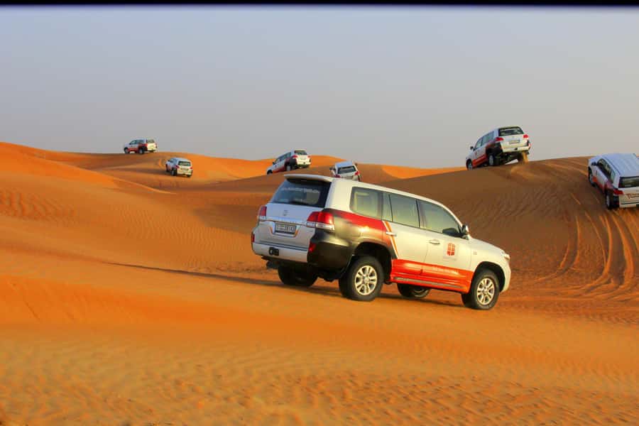 Dubai: Bedouin Camp, Dune Safari, Falcon Show & BBQ Dinner - Quick hits you can count on