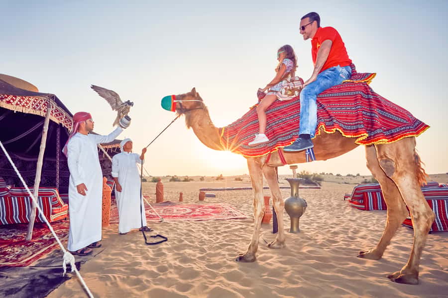Dubai: Big Bus Hop-On Hop-Off Tour & Optional Dhow Cruise - Practical tips: using the Big Bus App, choosing where to sit, and staying sane
