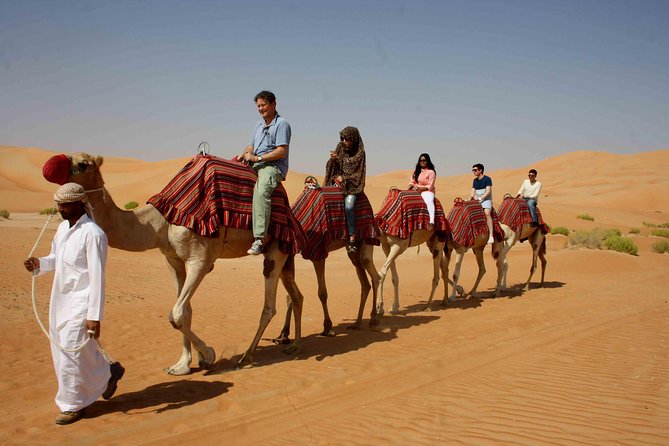 Dubai: Buggy Dune Bashing, Sand Boarding, Camel Ride & Show - Key things that make this Dubai desert buggy combo worth your time