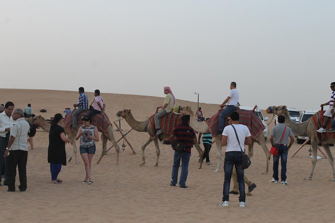 Dubai: Buggy Dune Bashing, Sand Boarding, Camel Ride & Show - Sandboarding on Dubai’s dunes: 15–20 minutes of downhill chaos