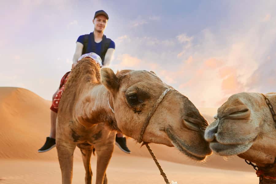 Dubai Desert Safari - Camel Ride, Sandboarding & 30 Min Quad - Sustainability Note: Desert Conservation in the Background