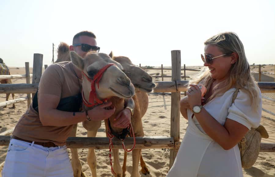 Dubai: Desert Safari, Quad Bike, Sandboarding, Camels & BBQ - Quad Bikes: Optional, Self-Driving, and a Real Risk Consideration