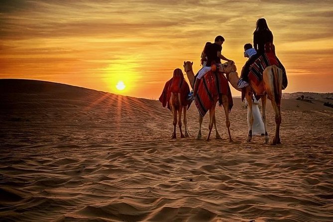Dubai Desert Safari With BBQ, Quad Bike And Camel Ride - Dune bashing and the 4WD roller-coaster factor