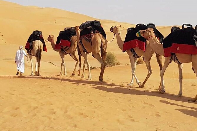 Dubai Desert Safari with Dune Bashing, Camel Ride, & BBQ Dinner - Camel Ride and Sandboarding: Culture Slower, Speedy Fun