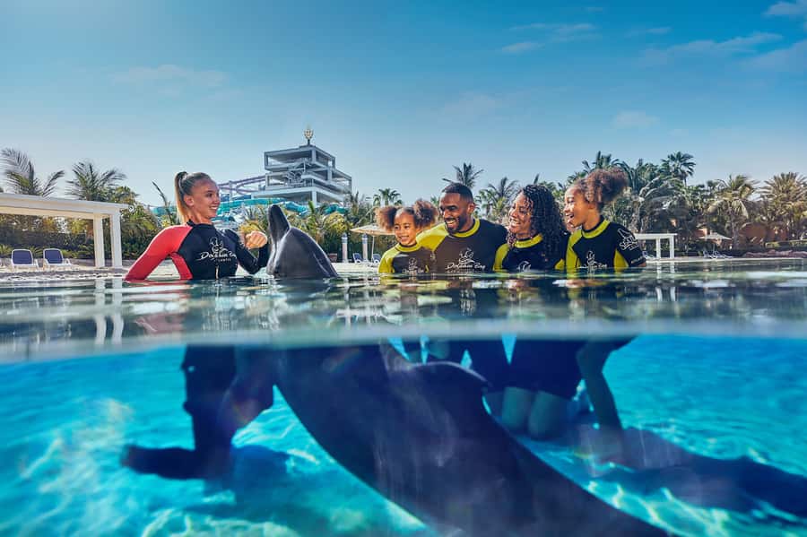 Dubai: Dolphin Encounter & Aquaventure Waterpark Ticket - Getting to Dolphin Bay at Atlantis the Palm (and why timing matters)