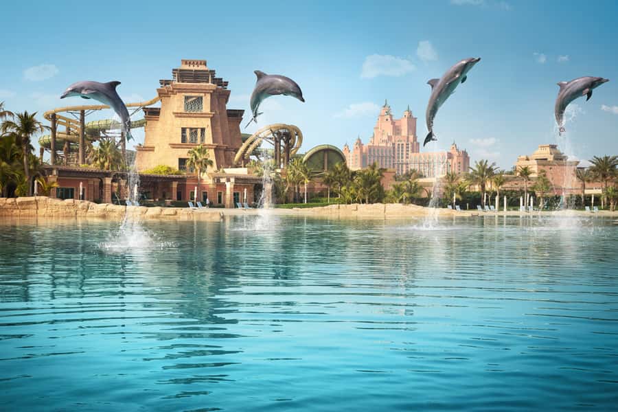 Dubai: Dolphin Encounter & Aquaventure Waterpark Ticket - Photo prices: why this is the biggest “wait, what?” moment