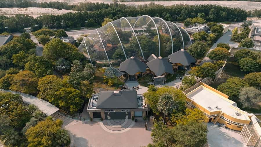 Dubai: Dubai Safari Park Entry Pass - Key Things I’d Focus on Before You Go