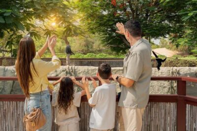 Dubai: Dubai Safari Park Entry Pass - What Your $13 Dubai Safari Park Entry Pass Actually Includes