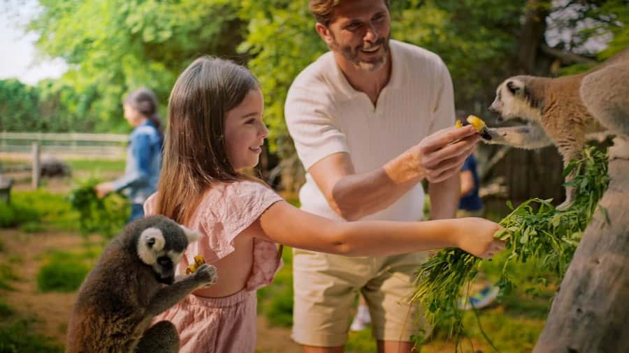 Dubai: Dubai Safari Park Entry Pass - Asian Village Theatre, Shows, and the Bird-Magnet Moments