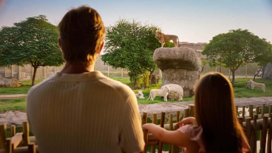 Dubai: Dubai Safari Park Entry Pass - African Village and the Explorer Safari Tour Bus Option