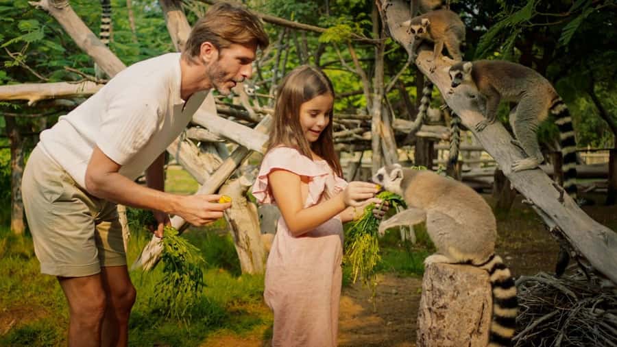 Dubai: Dubai Safari Park Entry Pass - Kids Farm, Farmyard Feeding, and the Included Pony Walk