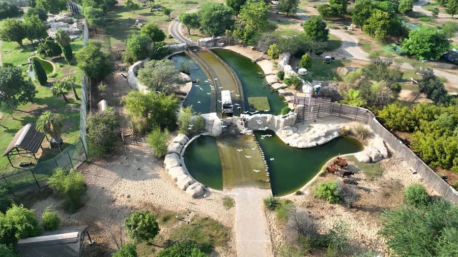 Dubai: Dubai Safari Park Entry Pass - Train Ride Option and How to Avoid the Walk-and-Wilt Problem