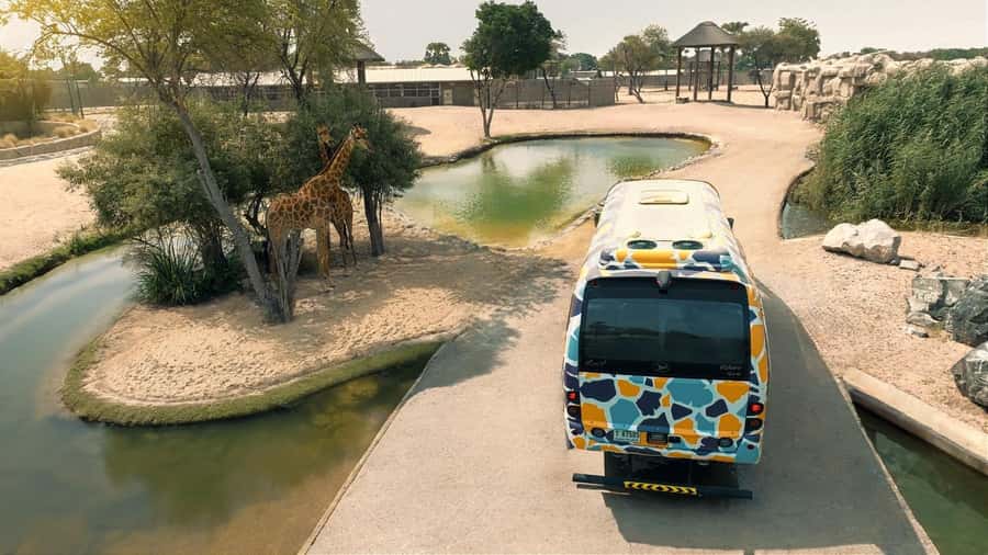 Dubai: Dubai Safari Park Entry Pass - Timing, Heat, Shade, and the Best Way to Use Your Day