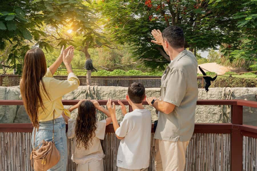 Dubai: Dubai Safari Park Entry Pass - What Your $13 Dubai Safari Park Entry Pass Actually Includes