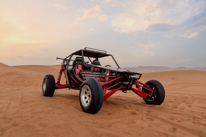 Dubai Dune Buggy Safari Tour in Red Dunes Options - Who should book this Dubai dune buggy safari, and who should skip it?