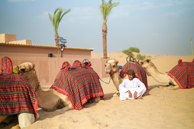 Dubai Evening Desert Safari BBQ Dinner & Transfer to Noble Camp - Who this desert safari suits best (and who might choose differently)