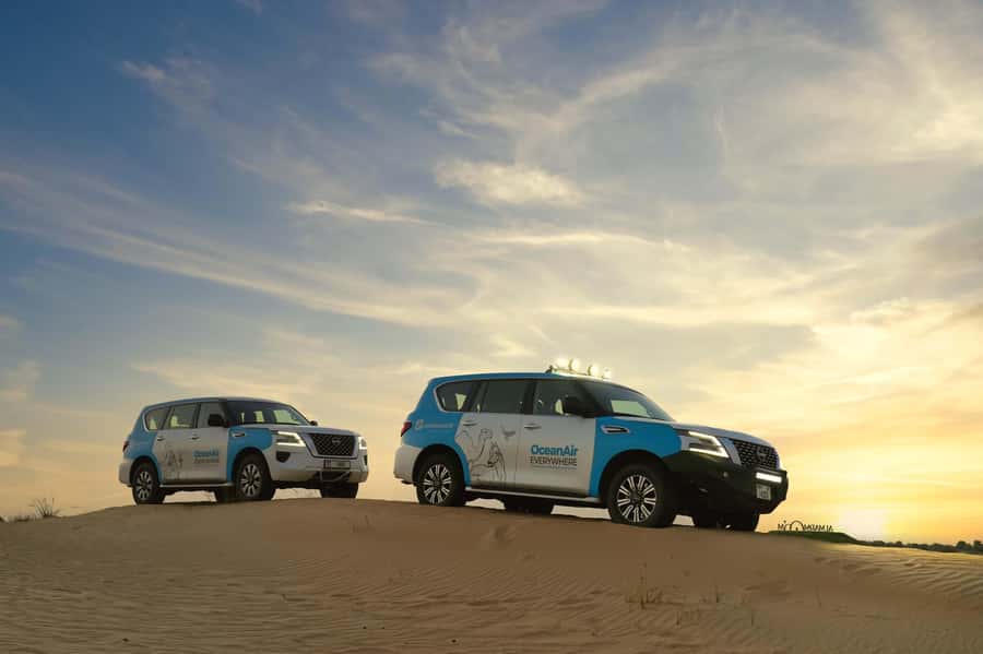 Dubai: Evening Desert Safari with Camel Ride & Stargazing - Wildlife Walks and Desert Birds: What You’re Actually Looking For