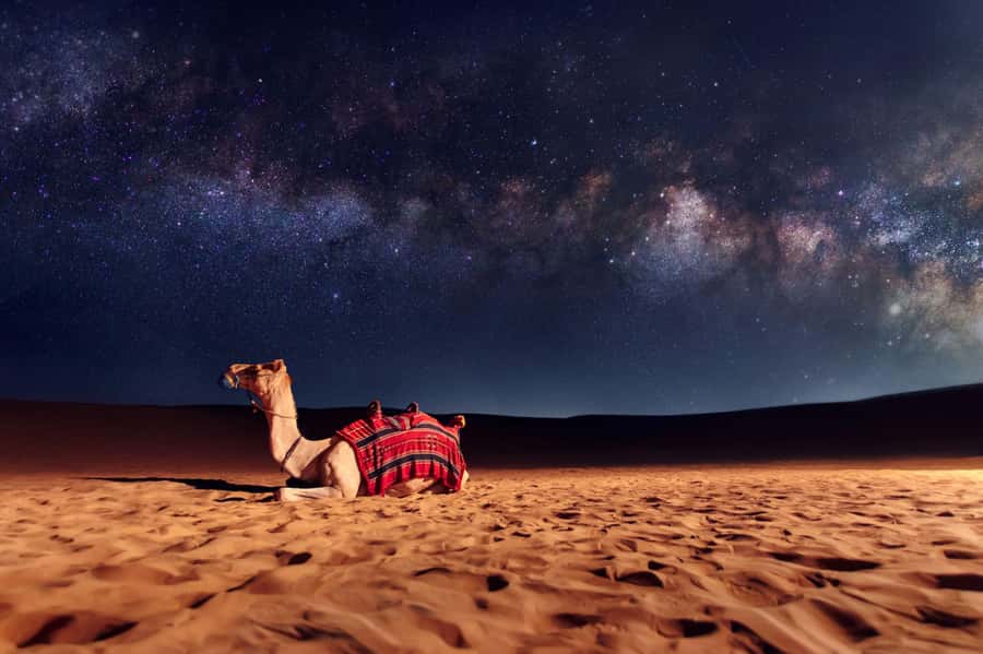 Dubai: Evening Desert Safari with Camel Ride & Stargazing - Stories & Stars: Telescope Stargazing and Bedouin Sky Navigation