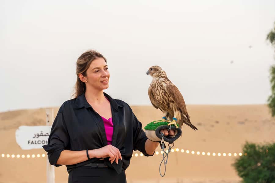 Dubai: Evening Desert Safari with Camel Ride & Stargazing - Optional BBQ Dinner: When to Choose the Extended Package