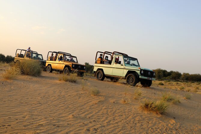Dubai Evening Heritage Safari by Vintage G Class Al Marmoom Oasis - Vintage Mercedes G-Class: More Character Than a Standard Safari