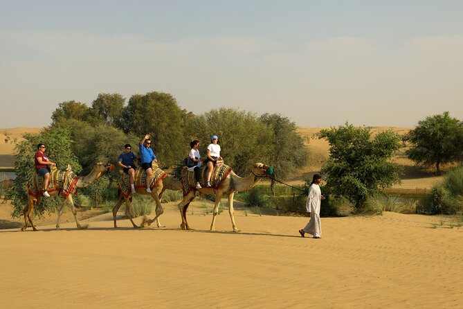 Dubai Evening Heritage Safari by Vintage G Class Al Marmoom Oasis - Evening Sunset to Dinner: Why the Timing Feels Right
