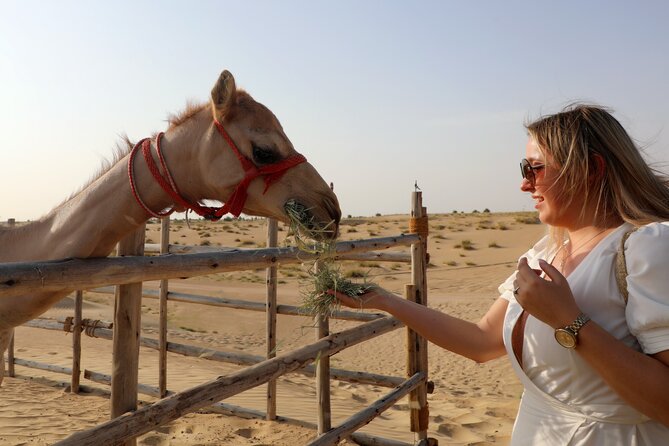 Dubai Evening Heritage Safari by Vintage G Class Al Marmoom Oasis - Stargazing With a Telescope: The Night Cap That Turns It Into a Memory