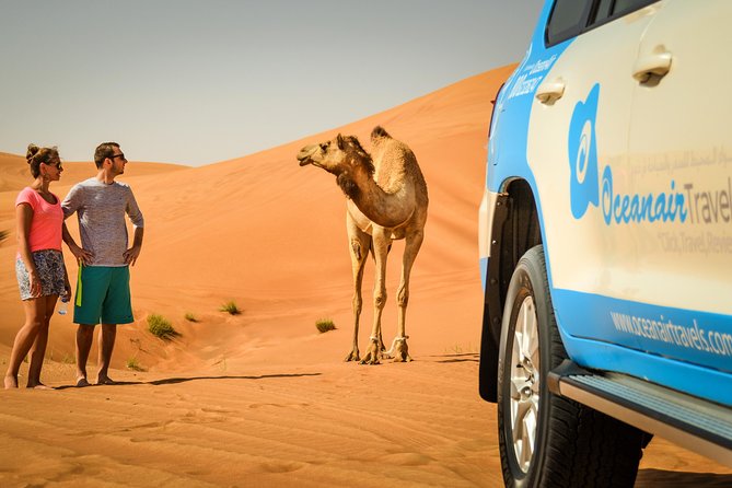 Dubai: Half-Day Desert Safari, Camels, Quad Bike & Refreshments - Key highlights at a glance