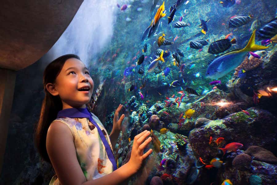 Dubai: Lost Chambers Aquarium Entry Ticket - Lost Chambers Aquarium Ticket: What You’re Really Buying