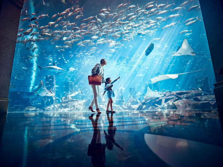 Dubai: Lost Chambers Aquarium Entry Ticket - The Atlantis Walk: 14 Chambers in an Octagon Layout