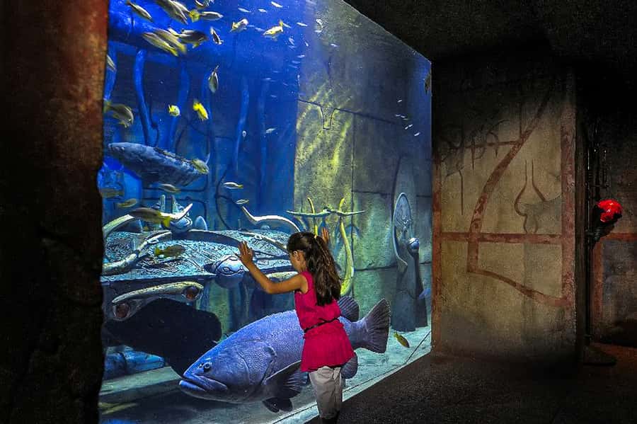 Dubai: Lost Chambers Aquarium Entry Ticket - How Long It Takes: Fast Lap vs Relaxed Walk