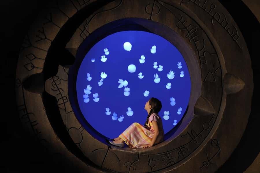 Dubai: Lost Chambers Aquarium Entry Ticket - Ambassador Lagoon: The 11-Million-Litre Headliner
