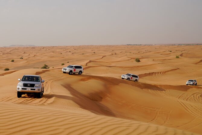Dubai Morning Desert Safari with Quad Biking & More Activities - The Camel Ride and Photo Stop: Short, Scenic, and Easy to Enjoy