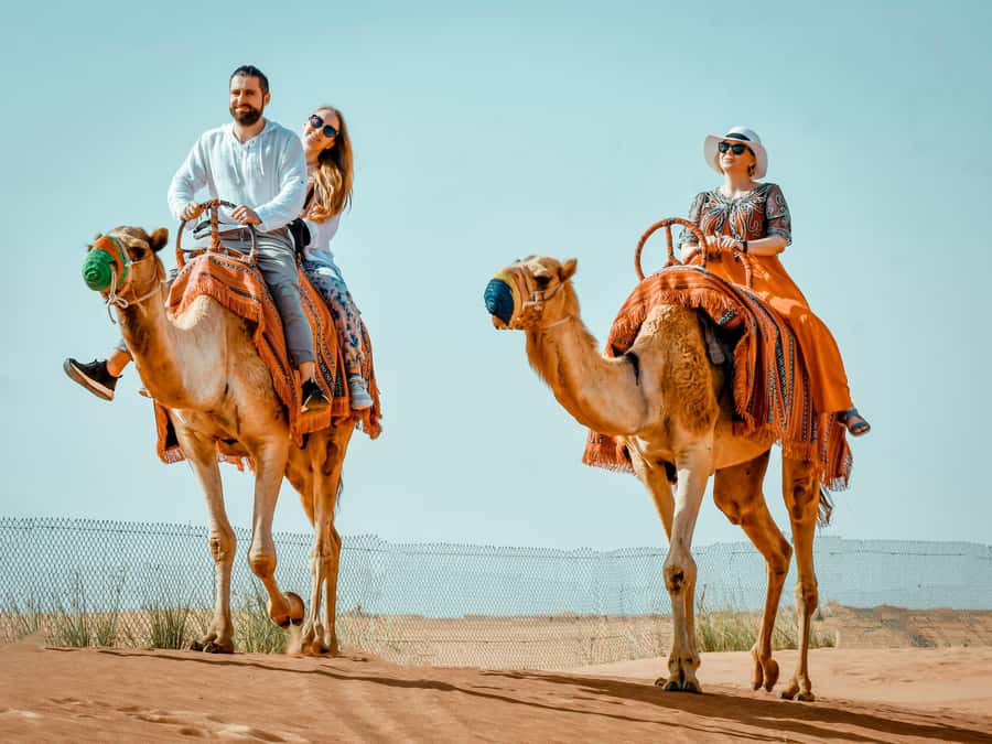 Dubai: Premium Red Dune Safari with Sandboarding & BBQ - 4x4 Jeep / SUV Ride to the Dunes: What You’re Really Purchasing