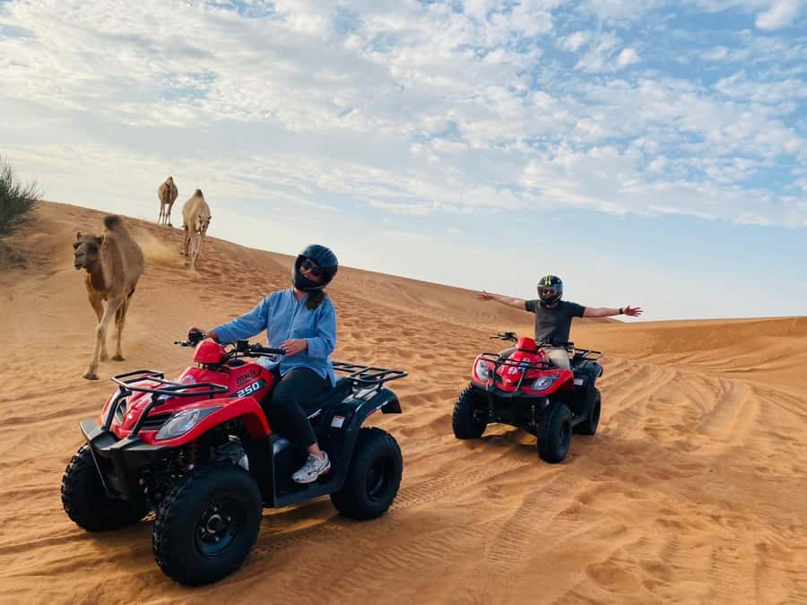 Dubai: Quad Bike Safari, Camels & Al Khayma Camp BBQ Dinner - The Al Khayma Camp: Camel Moments, Falcons, Henna, and Shisha
