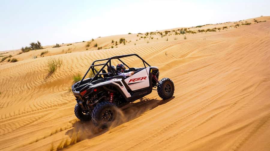 Dubai: Red Dune Desert, Dune Buggy Ride & BBQ Buffet Dinner - Red Dune Buggy and BBQ: What Makes This Safari Click