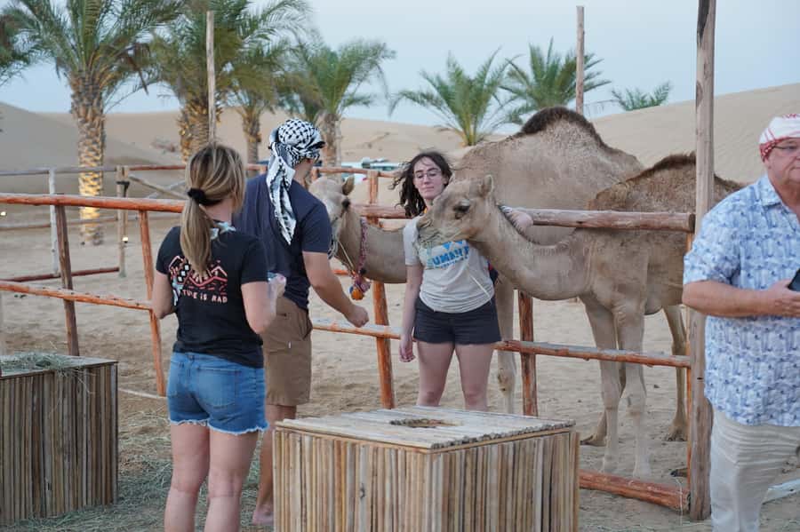 Dubai: Red Dune Desert Safari, Quad Bike, Camels, and BBQ - The camp: where the desert safari turns into a real evening