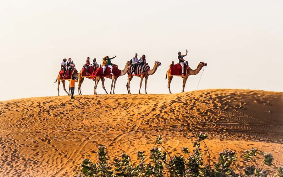 Dubai: Red Dune Safari, Quad Bike, Camel Ride, BBQ Dinner - Red Dunes in a 4x4: the part that gets your heart going