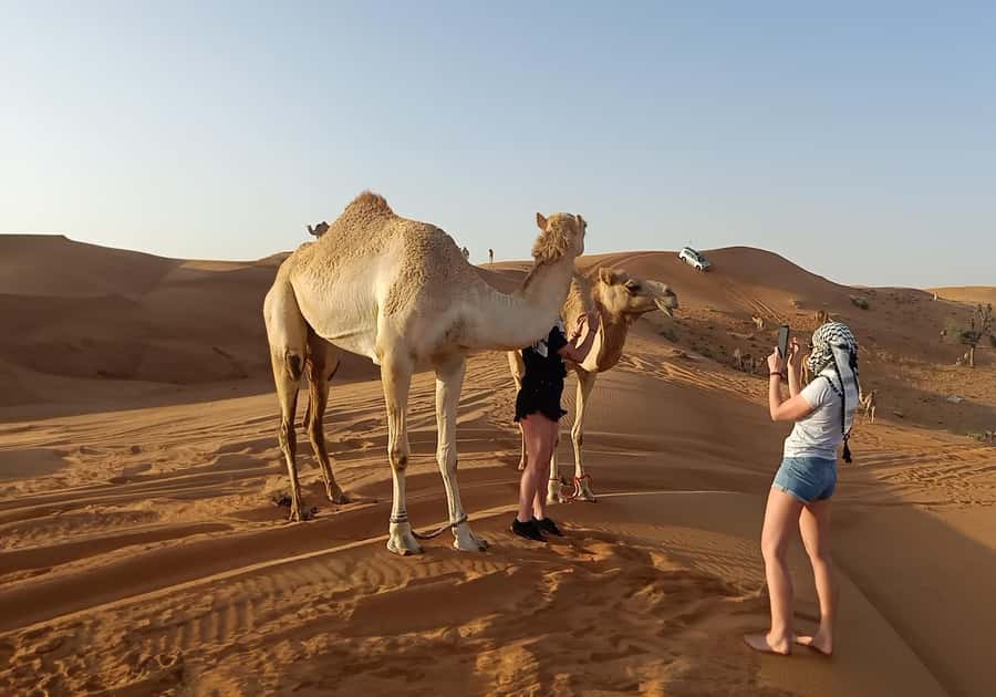 Dubai: Red Dunes Desert Safari with Premium Camp BBQ & Shows - Lahbab Red Dunes dune bashing: what you’re really paying for