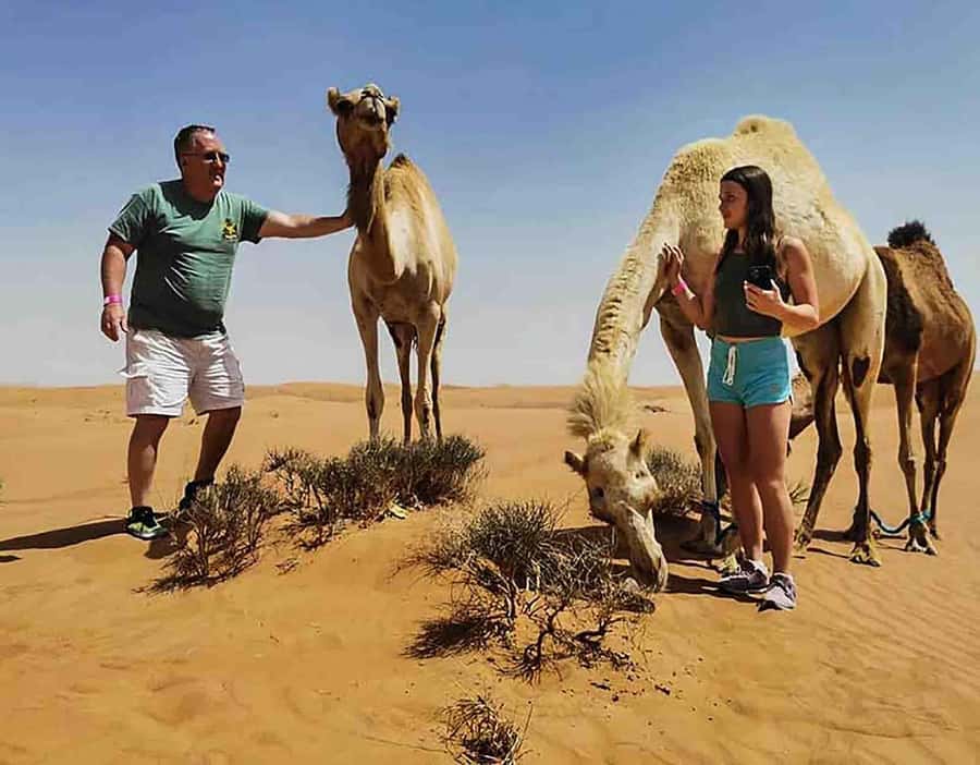 Dubai: Red Dunes Desert Safari with Premium Camp BBQ & Shows - Who should book this (and who should skip it)