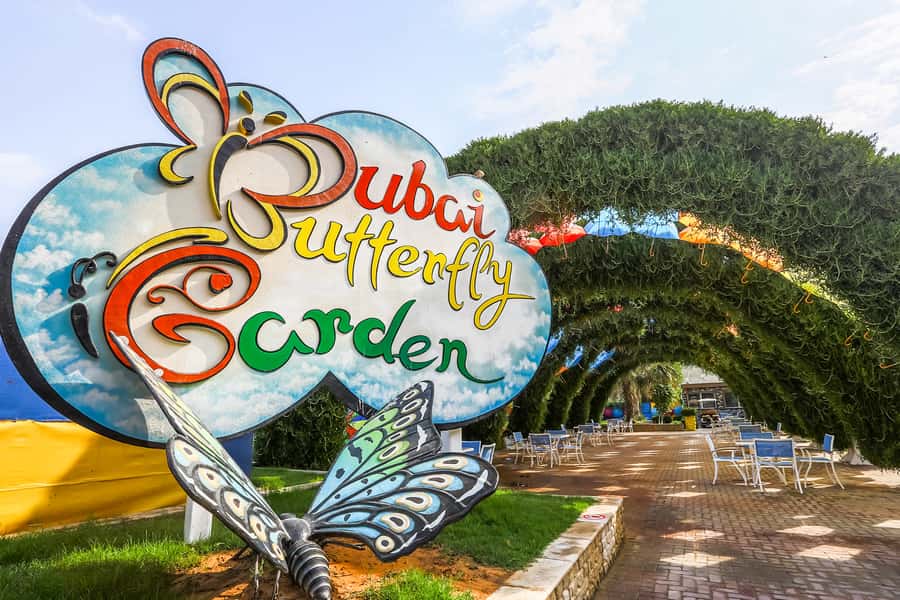 Dubai: Skip-The-Line Ticket to Butterfly Garden - Dubai Butterfly Garden: What You’re Actually Buying