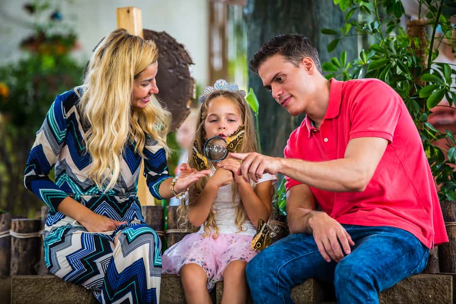 Dubai: Skip-The-Line Ticket to Butterfly Garden - Souvenirs, Photos, and Bringing the Memory Home