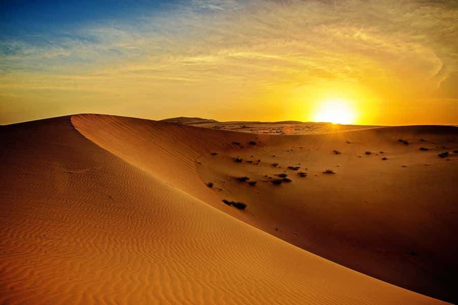 Dubai: Sunrise Desert Jeep Safari with Wildlife Experience - Sandboarding and early-morning photo stops: how to make it fun